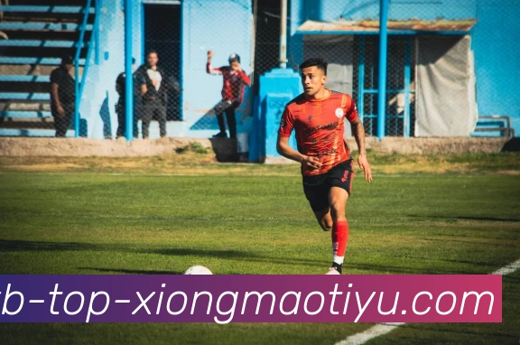 熊猫体育平台生态图